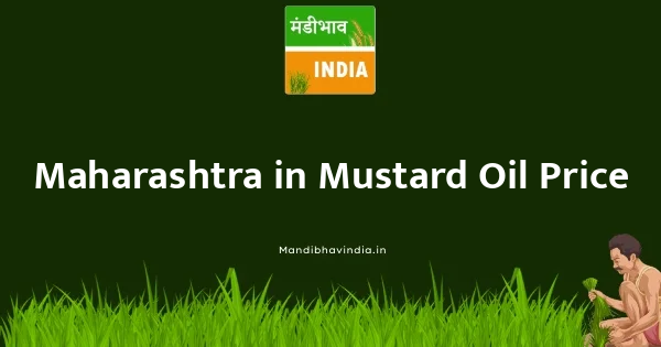 Mustard Oil भाव
